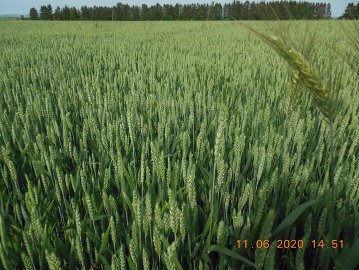 ACtC-3dOYJE1nj9yz1Fw_6rziq2ejAIEznk4OUEt