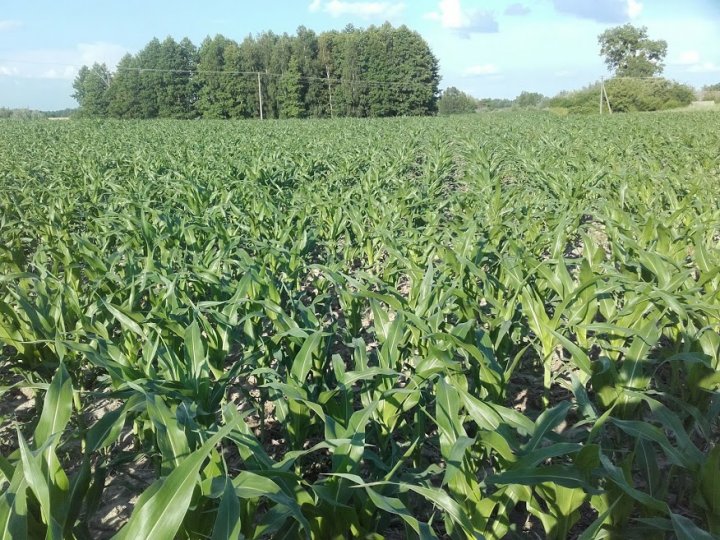 ThU3xoogkC1Zgk9ttQEi9p_uF3AI0bMtwMIynFx-W7EQebvu6o1xJJCPRk-YA4AD6QrGo2zmy79saXeREHpitDQWO_D8AGpAbNc5rjk-PyZghgocq-RcahjqYLpJnRjC620f1mR6gTOCfhnYgvNKdZGIAUZgf3SgpDM4fcNoLGTMFveNG9Q63lM2BfAb0LotCNFVPrOQeuBd28cBI8rop3RKPuqlnOos6NXfC5WfA3Sk2Bfc1Z9VZxHE02Qx3n3RNKtSjjUTUli-EIxgWl1hExLM-HmJ05UX45fxPwBnaYa-gn6LYrE11eqF-cEnFHNkSSCuM-kIP8NMtAkULQ--tv5MKqsRNLFUXwbQhPSayeUuuD1XE_CgLvqBBNGX2QzWQQE5abT8chGKO1pVq1kMz5biXwbqDkvQVGHtqAxa2r1N6Mji6abECNasUIiWaAw4Yl9jVlr7_CPXRPtVG9sUe3oArQ1yjul1AuJSxmxpQyf3k9O4IoaULhwZ3DlAWmryJR3pgPmXCnSVWjDjS7WDXNsy5UmOh6hZ0qRl32eId2lQ51eu7Y9E67rwXMkMC18_Vgfcm0wQcBK8ID8cpr8qOJ-ZbdQOBKJWkwZ3LgSgV8Y7djwO28nYsw0-fHiUYssmcfpR75R6djrQg4ocmk1qehYEXbNWVOQ4p5NEdO1W4GEWXzh8uQL4BKw=w876-h657-no