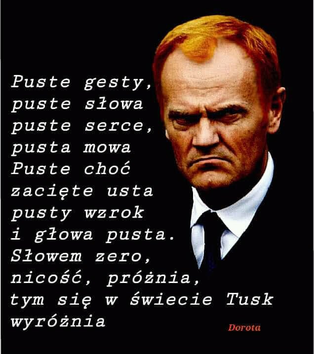 273885884_1657323964615077_7956738033158