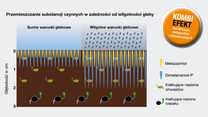 warunki glebowe przy stosowaniu herbicydu