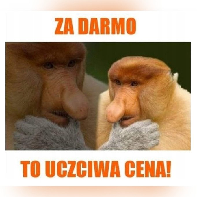 992e31aa4a2db4c72331d5100d83