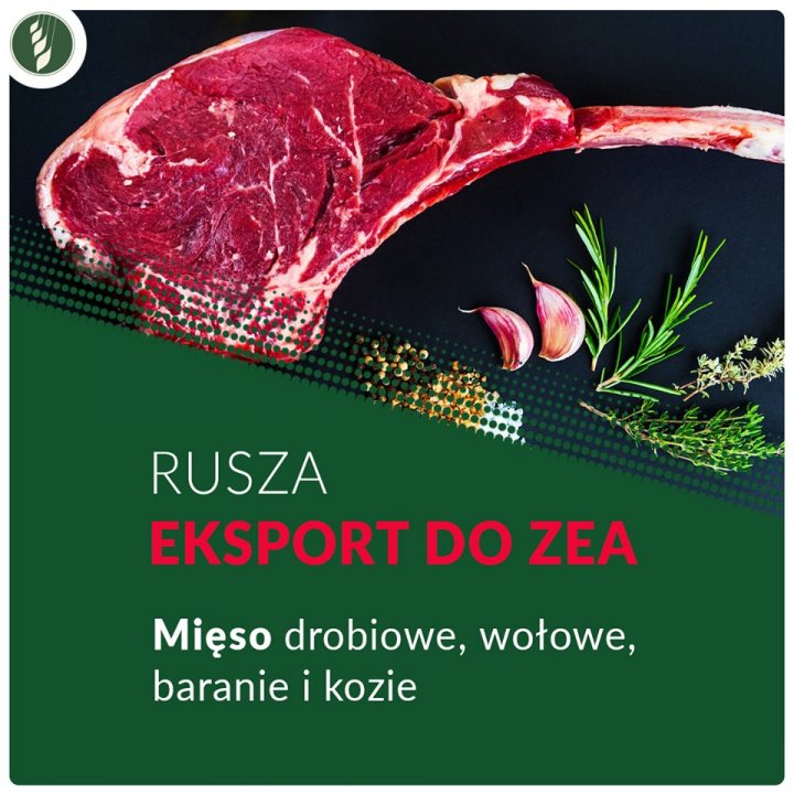 95730461_4063958286949441_54262210513757