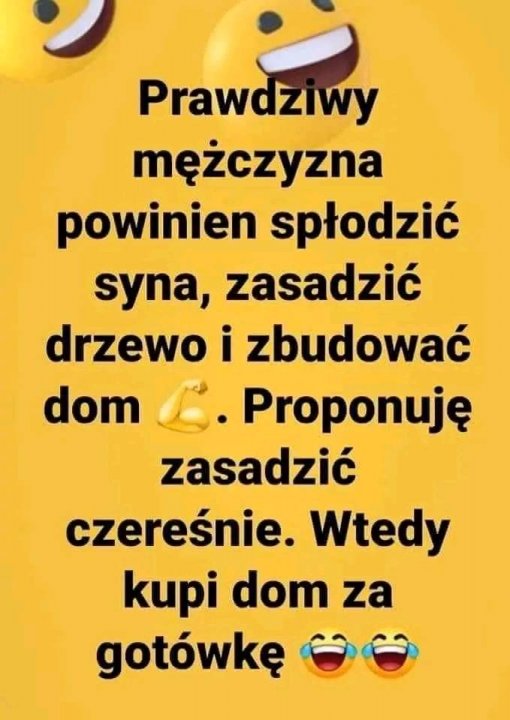 Może być zdjęciem przedstawiającym tekst „Prawdziwy mężczyzna powinien spłodzić syna, zasadzić drzewo i zbudować dom Proponuję zasadzić czereśnie. Wtedy kupi dom za gotówkę”