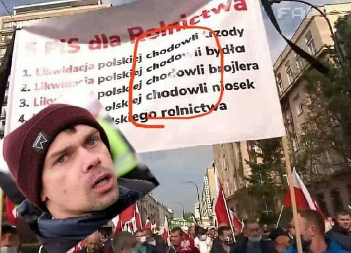 143688902_3634197306627894_3144923250477