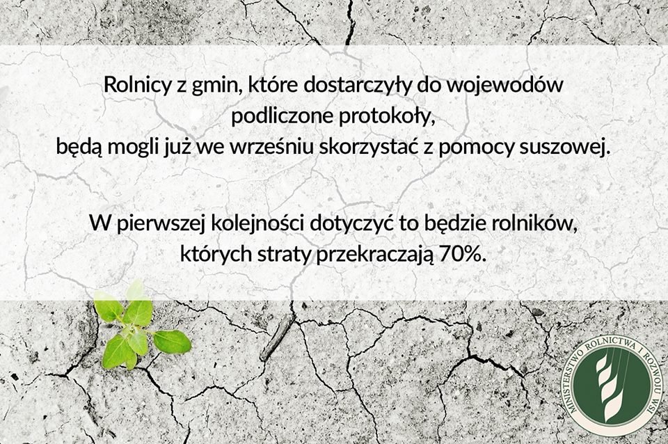 40468528_2395538983791388_56796801368032