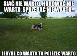 Gospodarstwo Rolne Muszyński - Powiedz coś po rolniczemu .,,Nie opłaca się  " | Facebook