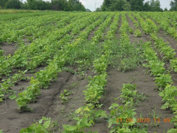 AJFCJaU1_Br2TfphN73hVu3XM2tGLzPW7-gv7Qch