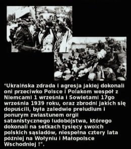 305918340_5518970418180793_3674069398926