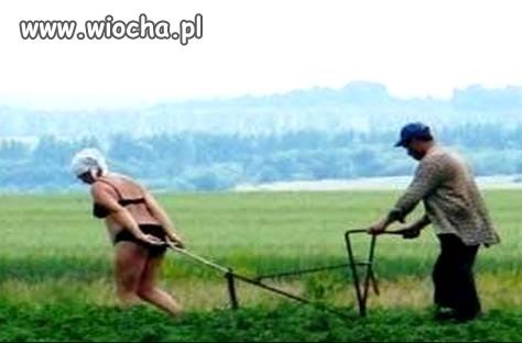 Rolnicy zapinają kobiety do pługu... - wiocha.pl absurd 564049