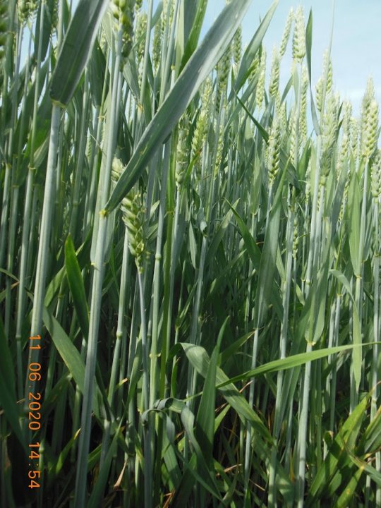 ACtC-3dLHkOXb1nZ7YVpLEBKNT13s6TOP1Lv0JNV