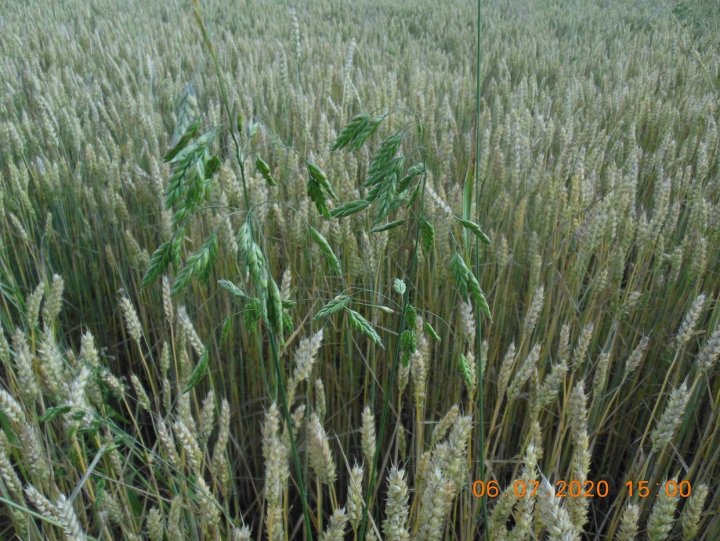 ACtC-3ejW8PiYDJ1FWVXEc-dZ2-ym1CssYNmwxn4