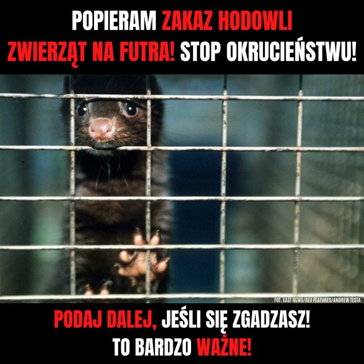 119540310_459169984987366_71185074614364