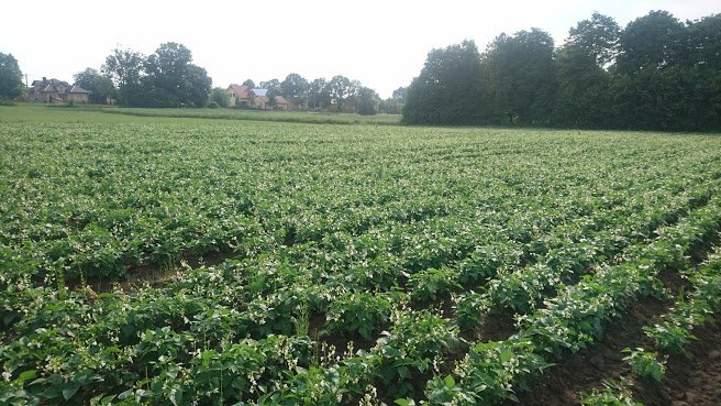 PcWzoMGi2WuirV35h3KBTnxBi8RZat3ichTxLzQB