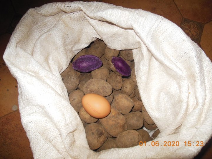 ACtC-3cX_0IqmJ6ovt0Frcvq28Yen5P5_MwMgRHv