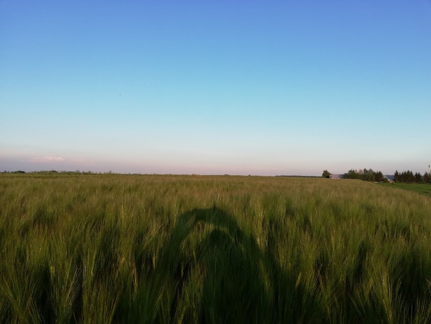 vCp-hw1jkha8NMKe8o09ZNteLAlhZXIaBsirIkn3