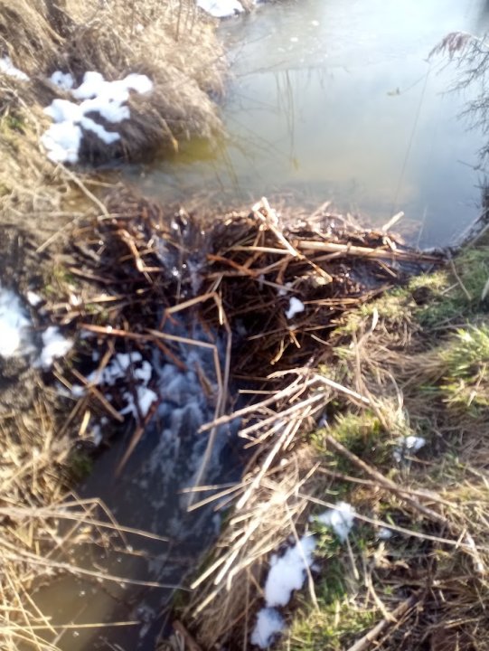 iMIwTtXeJpkr0LgkV1M68FGwiEHkzt6EuzORSbPGHVyV_yvuPZYNkK3pyvUoXKXaHigfnba8JVRY1uTIF-e-4_k6_aHIAxl_WcoKBxVbcgiPnbpUD5RMVp_ImHGKIr7ptjy5yIj1uqty8W9fvs2CqyLFxQDWkwhAKBDvxJ6yA2bwaQKUlXFEFznWuqdTGJhgOkVFYFIRalJNw3y6gEWpIgXg13WUGlyKLndnNi3H0QX1ie9ODdanj5iwV29fXifYjQKBiqxTaZmU9oxgbqXJwjyT-_KkYAjdSv0--NkNRsbQAnmQPBQoOmT9CsflbQV_Q6VhdB6k-Jz8AXhJ8rSI22_9QodfeIUaNPFBn_KJgA_nalDfBltI8Ka3R0v93iZFPBJtCF8-G-rX0IZq_klqfspNUx_x_Xh7AC-G1WJex76bB0oZkT65khj6EG8g2FnzJYFK3C7rNdmmtnRQrundv7ECrrhlbyHydCNITtmVIodKELC5Shm9-iaduH8OYgde4yz1_Gjc1fLlxHgwVZkd7hP9dgwS_xbHtlkj-viYXJwzWgeGgXlYjtoiK7d6Psu1TNRSQO0n-m6yltT85fviVoUxwB9z36UNpmFXl5t-hK_pdzbuB3G5aoV7bfloFEZebT1A46MQzj1w14kenrdMdLCxT92TD1Gn8LJY_qDDglY0k4pXhb3SnZubRl9_chiItIVbRq2-SdA3DpCgiTACamqCqo4coJIzADijggpz8rP6rQpHp1S_sgFkGiP80NkEpyCQ2JYV9NG-S7F0aX_6qKMVG2m_JGc71epXSjlPCnOwCncv89WYpP-ScDEogLKfrBXdA5lpuUlC2dBdvfevzE7KZ00lX1ltxvSIO497sf9yn9OfHbS5CMdGD4te1HavRkKhaTrrWAAZoDYyhNU6WS3wp0yFLSD6cYa-RRK1YQwQxnQJ=w703-h937-no?authuser=0