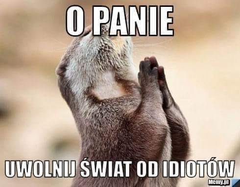 71940721_2061042937329078_14062230806986