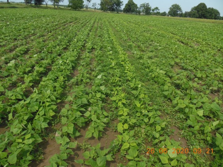 ACtC-3cKyjU3mBdp2xXooSq0pHAKR0g0YAru7pb6