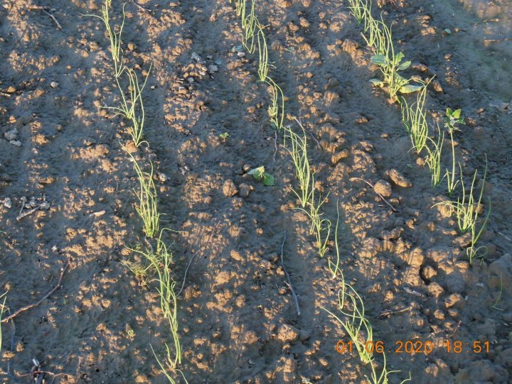 w95B3JJviiRU1h7xn3eZ6yXlGMle4197eyi8u8PB0pdLKBgAJJTavDf5bKqaVrkJMV3SplQ_brctjljFvd7nzkVa7zvWsnxt8PGjMT2Pa9_piD6ni5TbaBhB39cRkdRJbOeztanRfSTuTS6AGyQl-E2aLKBRw6ufTIh9FqCo3jtPR4DPf3twqh35oTLzHbt8u27dGm6oeF0V3deeoDXb64TWGdJdvur9R1yb4AZGge2_X7iPym1hL89wMzS3u8iMiaPD8zLX21WBu71Nmx30RmXwXkq0Pfa0AFIE_9mJNtLa2VWYd82uJkNF8efMODPh46AjfN1ulMtGIbc6FHKiqyE8j4GBdhaxTHBeuYj3qpC-44N54SumaXxMQfzC_CAUKwUAFdJIgFJHDWTZ2wghRWfppovpG8WfhVecVgzeKDtkSmhq_BOl-gmI_iG8GC6PdkDEcv01SNFTjpRqdNiAYhxmyK1zkl77AGyHIfkXybr99NZdjG0RqKgyiziExwxQqhMKeowTJNxyecU-_H-STol2OHkTQnJ6YnZAc06soAHteroIesGeFhGfKDchrY4WUNSiHz228wO5KCO5DaeJEjUSUMcV7EA3q1niPxHglgOxVXYaNeYDYSfntOnM4OopPb1YPilY6uLtpCRe7wJhRkZ7l648S6VOjn83LSCqRVHbKYZYQ6DZ2DOBEVDEsg=w1242-h931-no?authuser=0