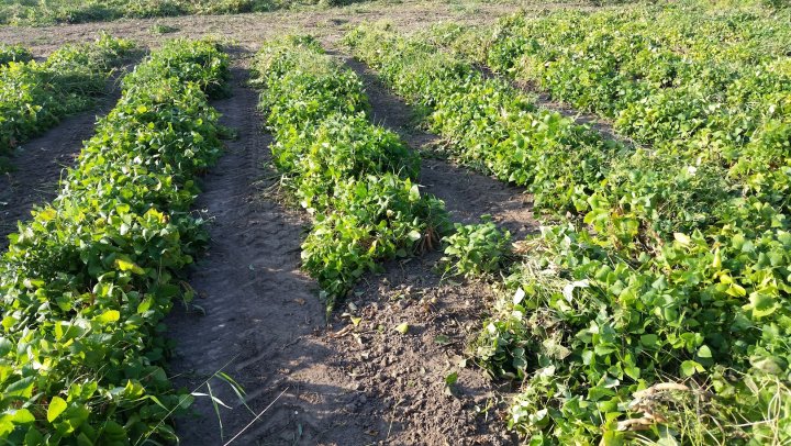 ADCreHfz4rRoMLuMMplZ-7JkKzjkmnIEnTykSwfR