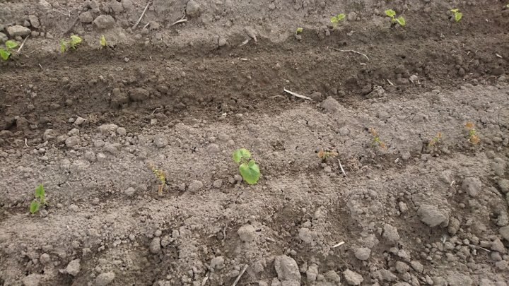 lBM79iggx9zEAWnlO2BVJDqfGThOEjdN9tSGvvtJ