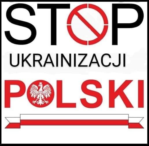 305282535_5542338432479649_3862770403986