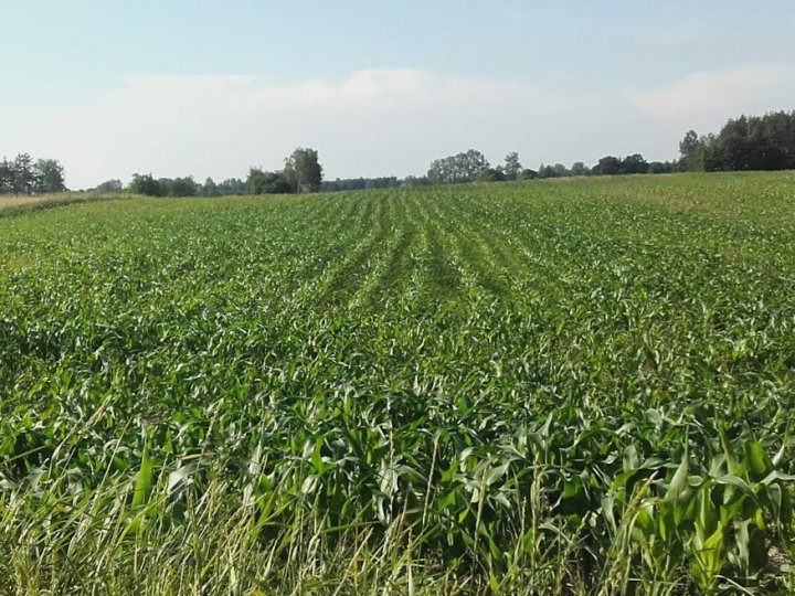 L8pQZymkokac7VMvpUyMmGIZ8mkQYMkKv_U9ebMrKx22LXf87USVw5RWitvHJMZ-NU-r6YvDhUfBikvibzUrDJ8oOqEkc0xIw8-VROTvMOmbQKOVk3eN8iJG1zXSfjSLcJjashnBbnOUvEQqpI0_mWjmShvTkOheUDJhHfzzcH5HJ8m43kOLDFjeIDa08zymVUiIXZs34lWDLrNQBa-V53JXUO6vD7vajiKtPQo7W5HpwSzzF9XndcB2RHq6BlDMv-07A7imSJUQuv4DIq3UGzc7bcwXQ251g-SuX3BcSk2n6UT2ZvPte_kQMkXZ2Yi-qy4I1z2efuFz0CxSSo-zwm_B2ncsgAUSJpT4VKJtSChBbdZUcHQkUSFDWTUuxQe9DGCL8DVf3WK7l45enIJQaqh2qGIC72HA2MN6WBtE5YiOzrg86F1j_0SzdBSY2NRCPjOlQk7E1yL9_X2X7dwzTdMb-TbjvCCBP0qlAhJiV8pckAYntg0Tpq_UEXcZWlaHhi5rn9vTh_S8hg_mn5Shbdabe9I1UxNSytDHgY0yIHcoNKUQaxfEUquSGAf7quszzSn_gHUJHuFlQTW6zI-JjN6MxR3pep-7jZomb0u5_kXek8n2yNguuPxXE13Z1y2ILLLjzS7QrYfpbPx2RBczjfAT--0DHliumFDIS8oEmks6nm60ieTlmjE=w876-h657-no