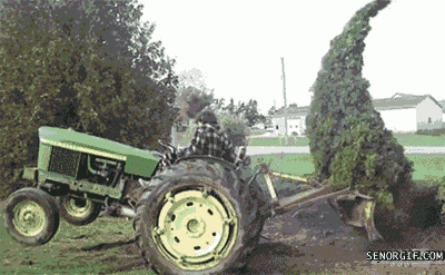 Tree Tractor GIF