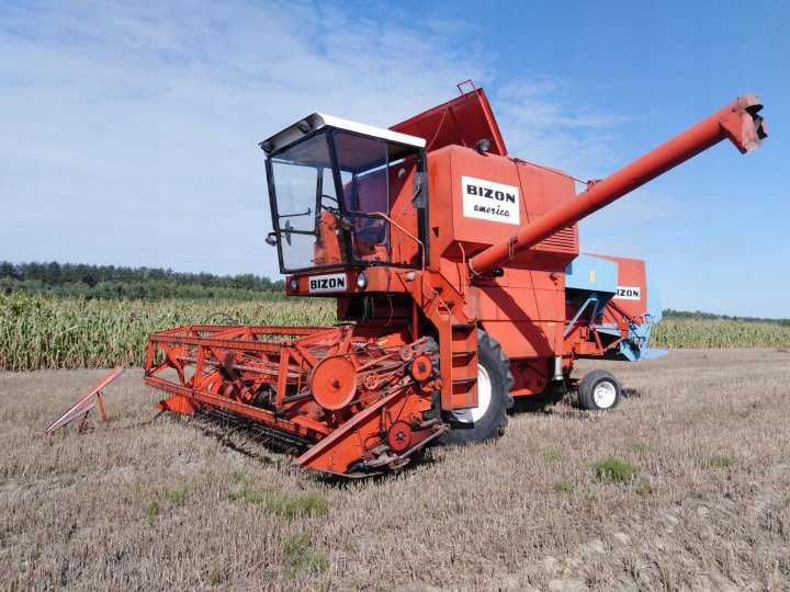 Znalezione obrazy dla zapytania: american long bizon