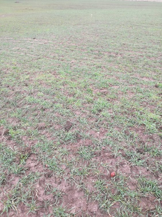 img_20190311054616_IMG_20190311_093203_z