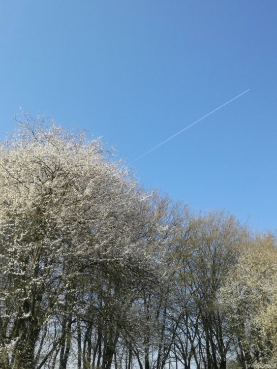 img_20190404065036_IMG_20190404_100113_z