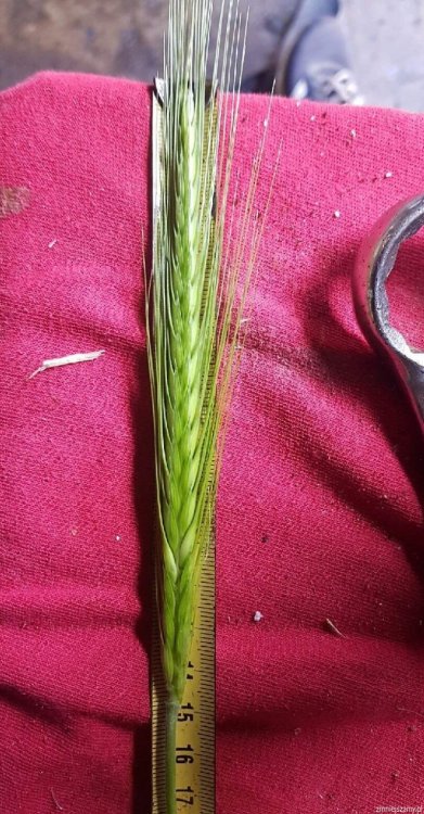 img_20190520052207_IMG_20190520_071713_z