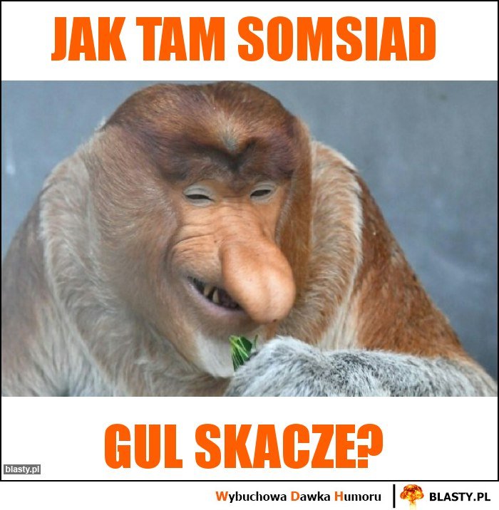 JAK TAM SOMSIAD memy, gify i śmieszne obrazki facebook, tapety,  demotywatory zdjęcia