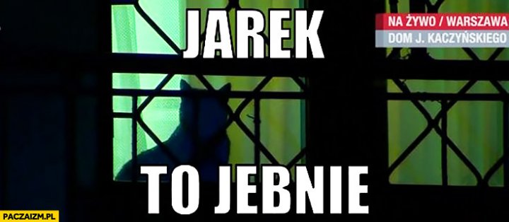 jarek-to-jebnie-kot-jaroslawa-kaczynskie