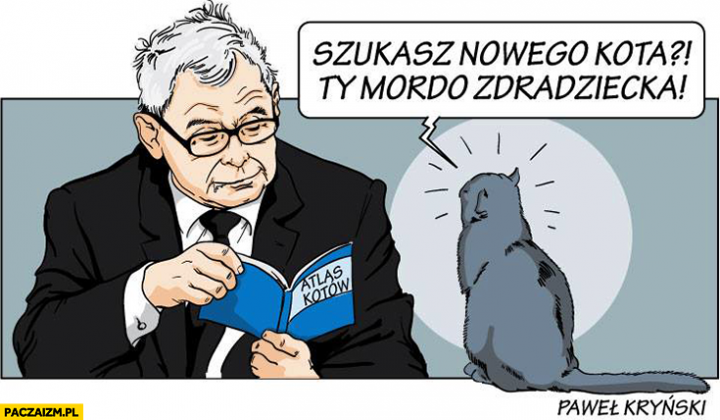 Kaczyński szukasz nowego kota? Ty mordo zdradziecka czyta atlas kotów Kryński