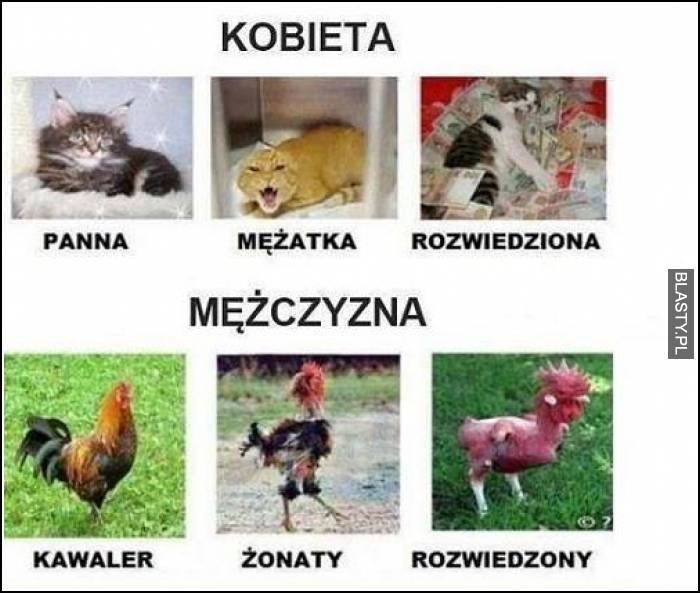20+ memów - zonaty najlepsze śmieszne memy i demotywatory facebook - zonaty