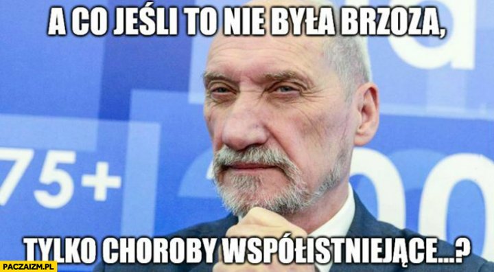 Macierewicz a co jeśli to nie była brzoza tylko choroby współistniejące?