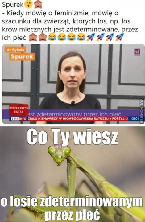 Znalezione obrazy dla zapytania dr sylwia spurek