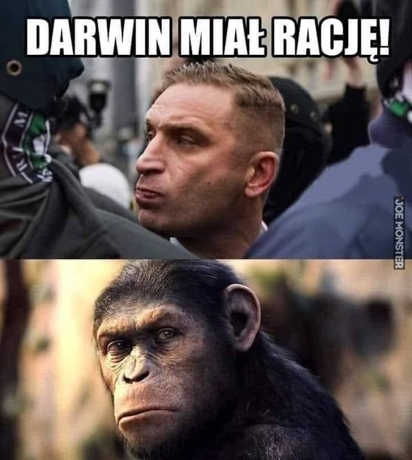 Dowód na naukową hipotezę - Joe Monster