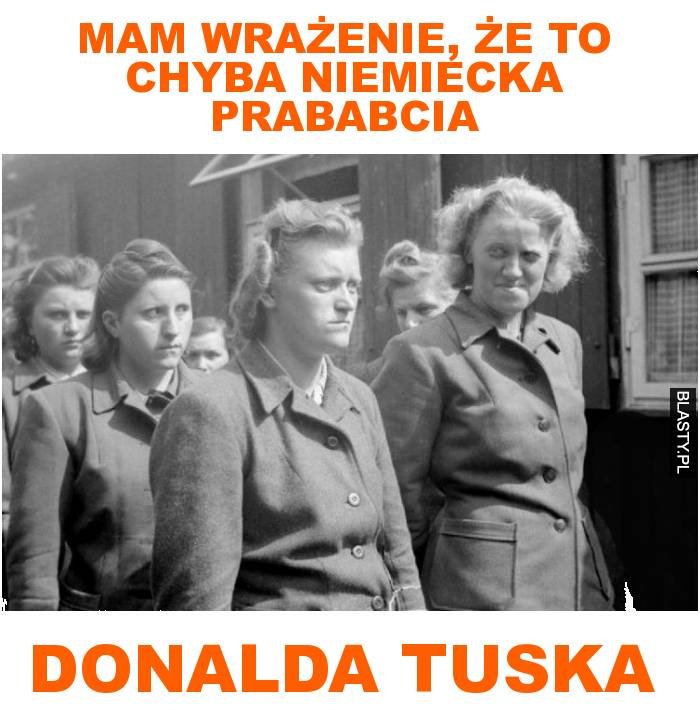 mam-wrazenie-ze-to-chyba-niemiecka_2016-