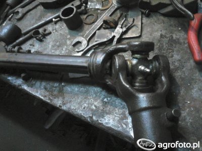 Znalezione obrazy dla zapytania wałka przekaźnika agrofoto