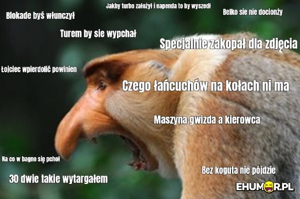 mememe_46d38a25c55f6faa6938e20a85d31fe7-