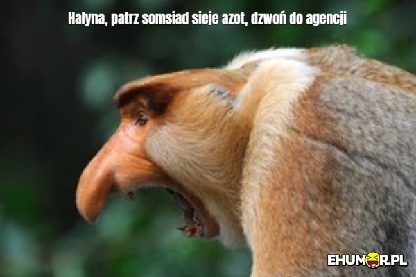 mememe_f7c84b60b6a3607755a7aa2ccd13c5e7-