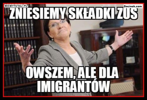 memy-kopacz3.jpg