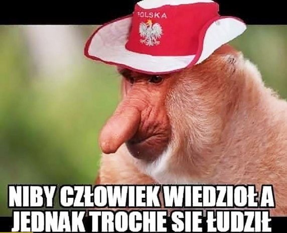 Memy po meczu Polska — Francja