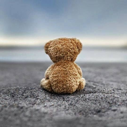 Znalezione obrazy dla zapytania smutny miś