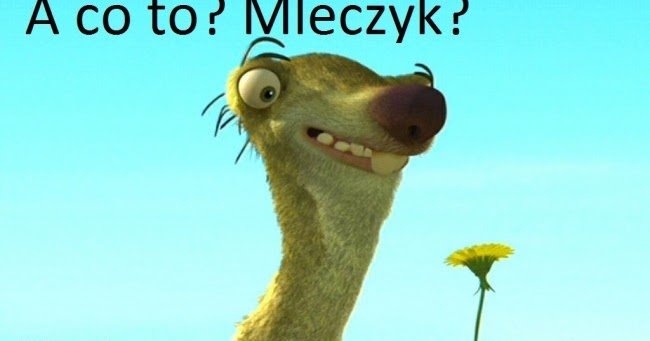 M(l)eczyk ostatni w sezonie :)))))