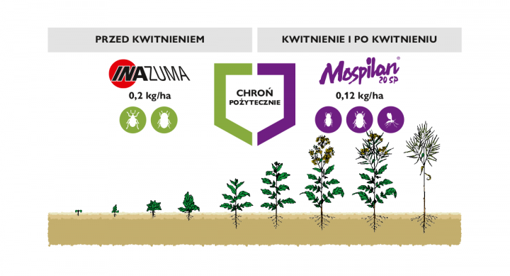 mospilan 20 sp inazuma program chron pozytecznie