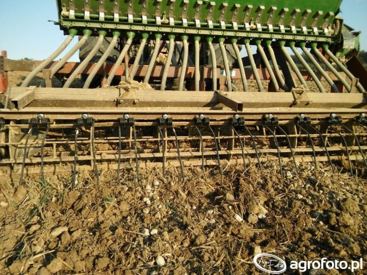 nabudowany-siewnik-amazone-na-agregat-scierniskowy-dodatkowa-brona_30_20_107923.jpg