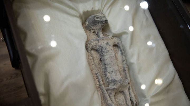 NASA ogłosiła raport o UFO. Mianowała szefa zespołu mającego badać takie fenomeny, lecz ukryła jego nazwisko (fot. Daniel Cardenas/Anadolu Agency via Getty Images)